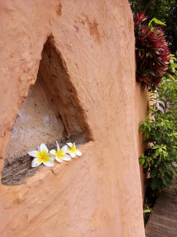 Les Bungalows De La Kazouale แซ็งต์-เลอ ภายนอก รูปภาพ